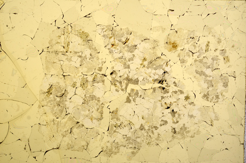 Plane Polarized, E15744