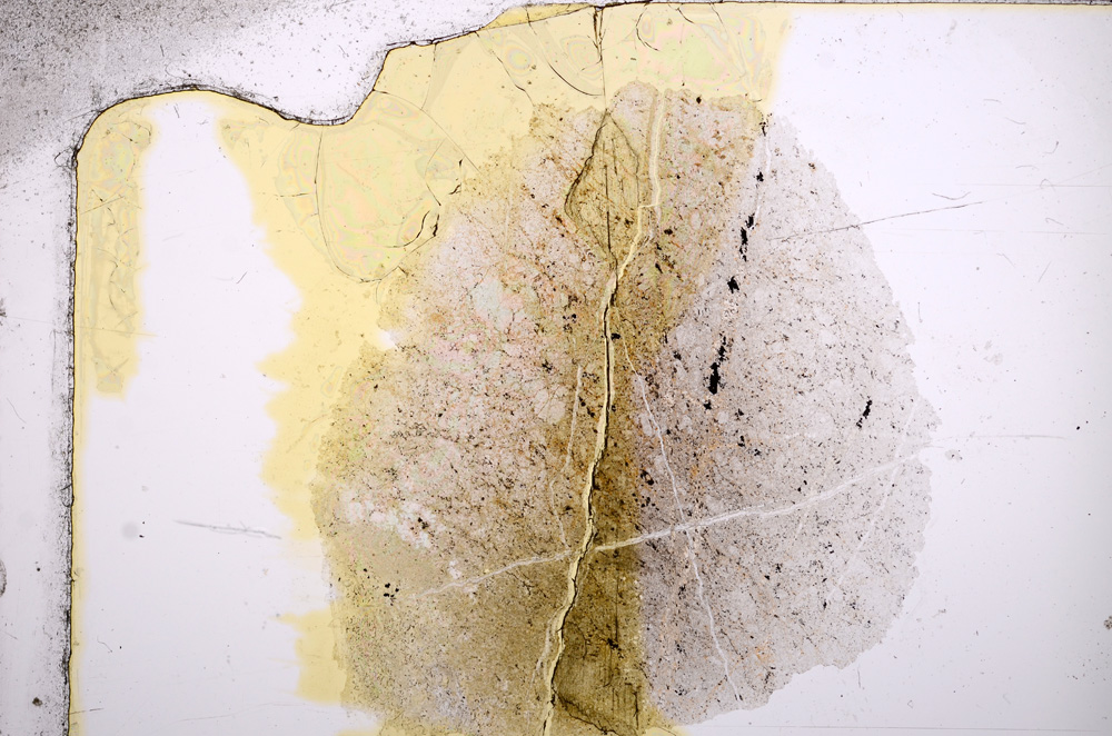 Plane Polarized, E15758