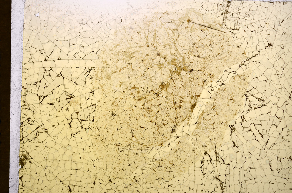 Plane Polarized, E15763