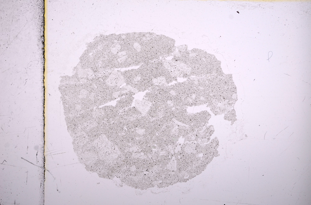 Plane Polarized, E15772/A