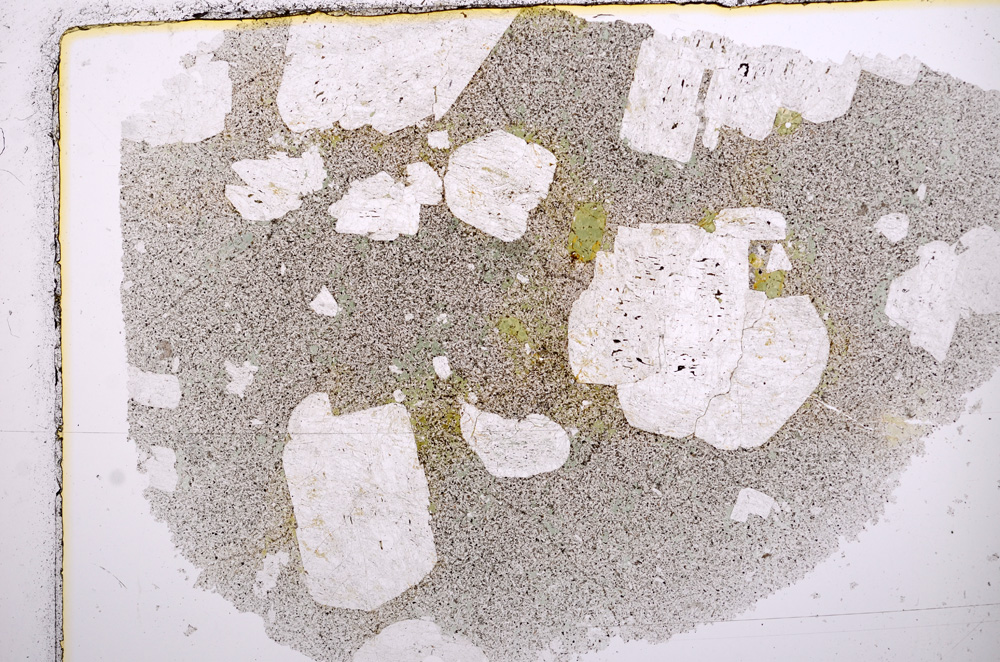 Plane Polarized, E15793