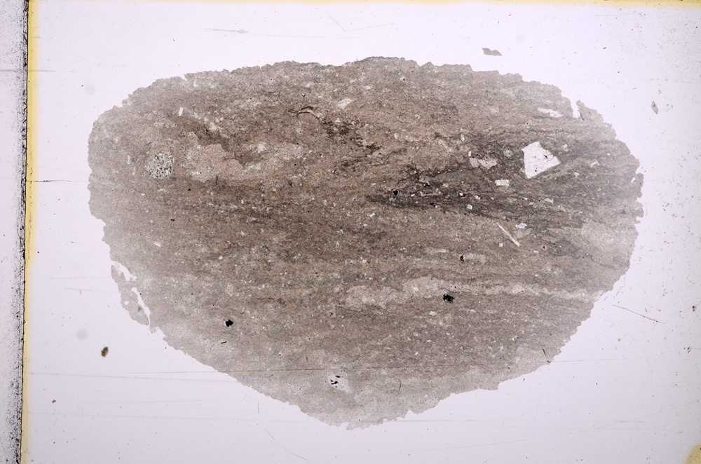 Plane Polarized, E15864