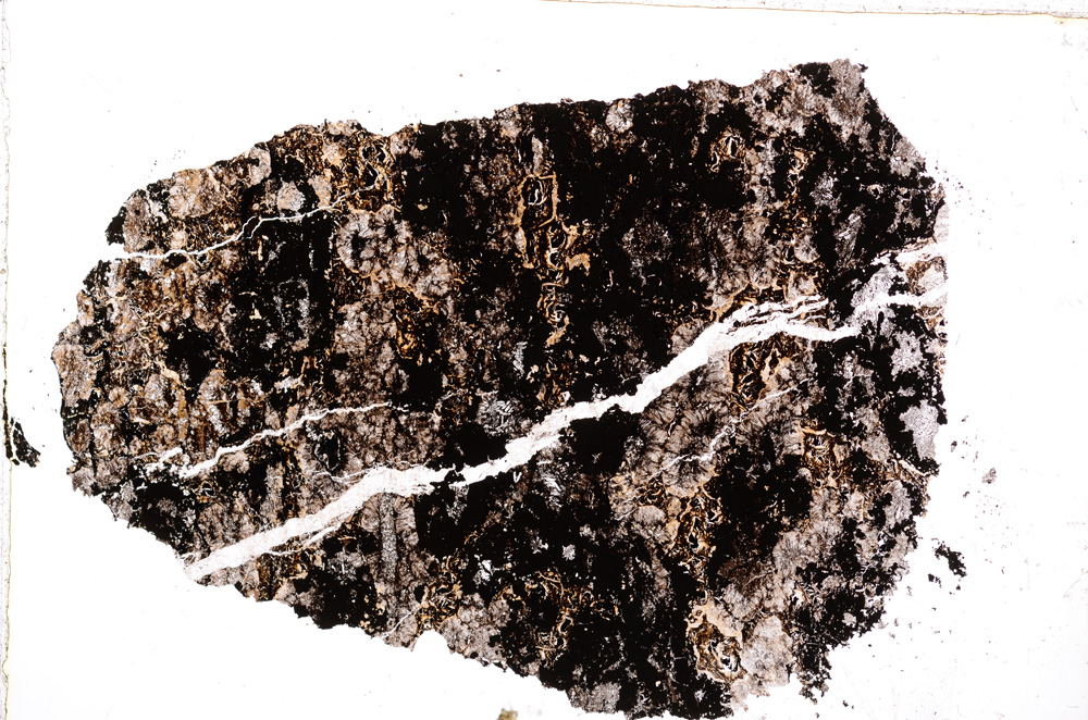 Plane Polarized, E15883