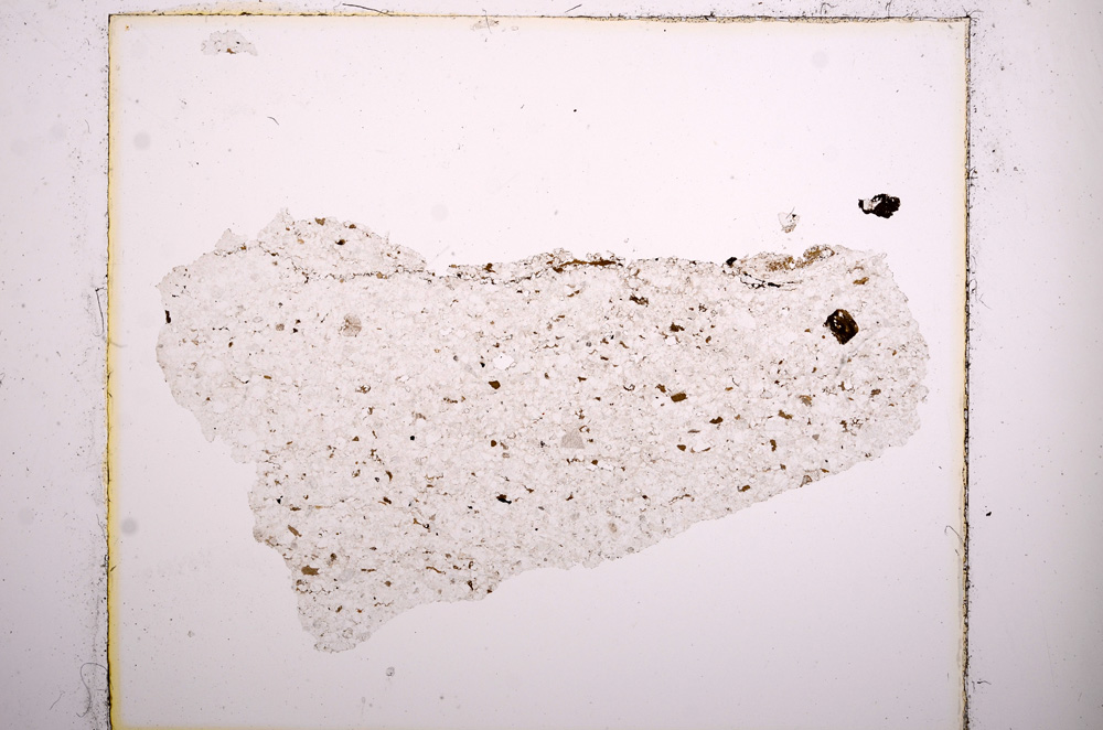 Plane Polarized, E15895