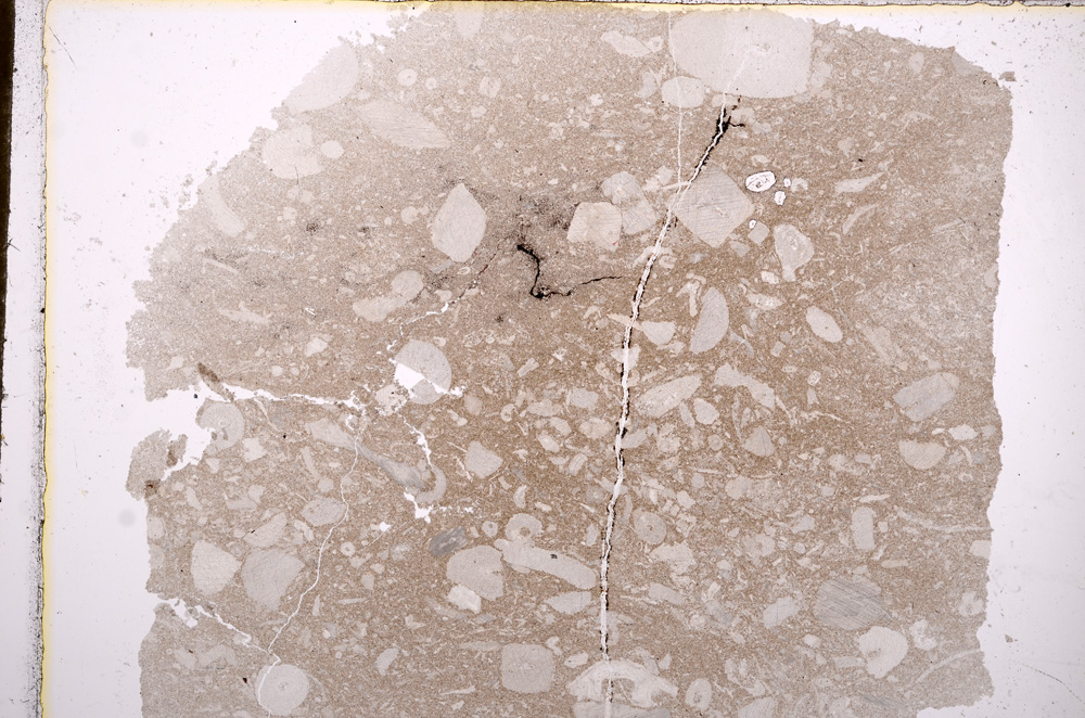 Plane Polarized, E15913