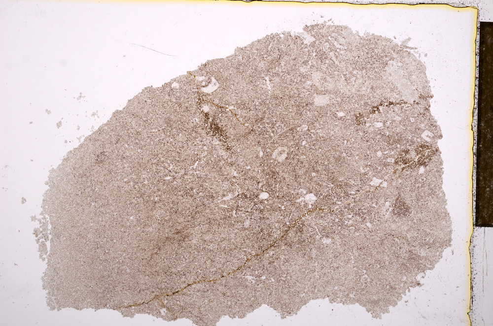 Plane Polarized, E15915