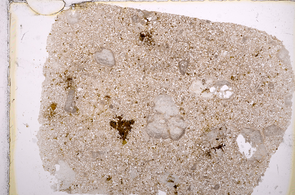 Plane Polarized, E15920