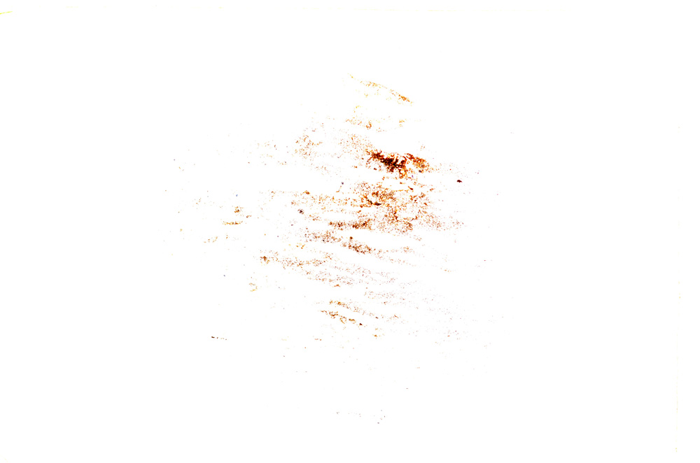 Plane Polarized, E15932