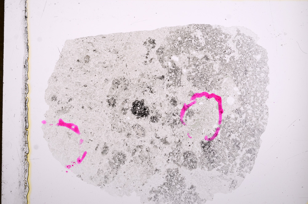 Plane Polarized, E15935