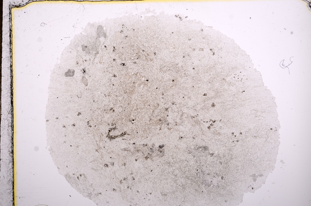 Plane Polarized, E15936