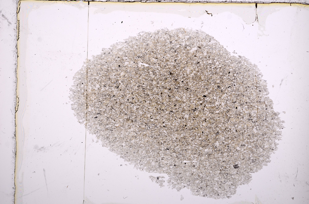 Plane Polarized, E15949