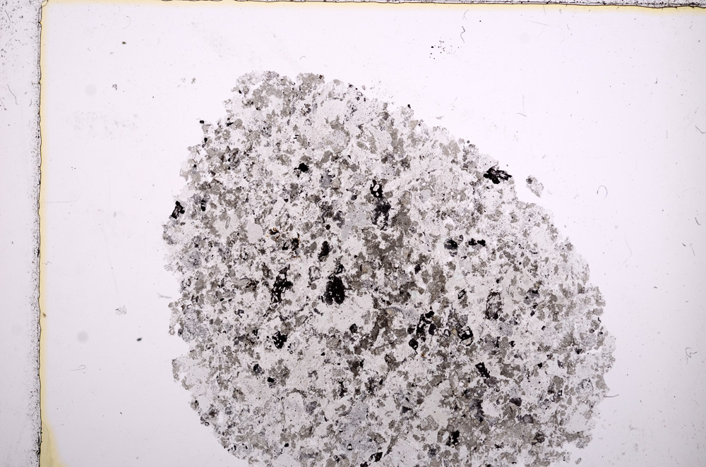 Plane Polarized, E15950