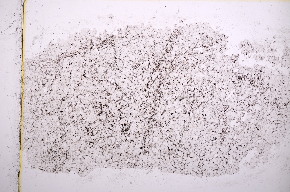 Plane Polarized, E15964