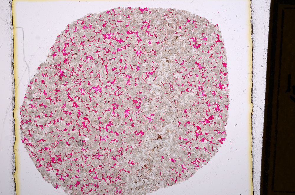 Plane Polarized, E15976