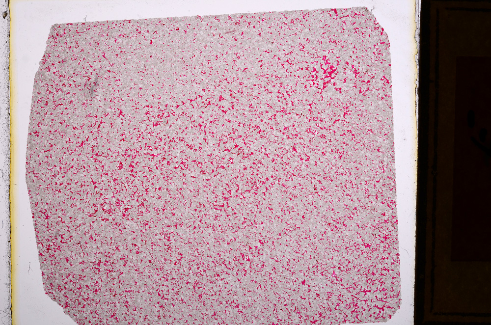 Plane Polarized, E16037