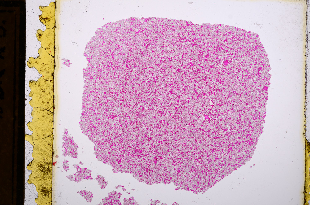 Plane Polarized, E16055