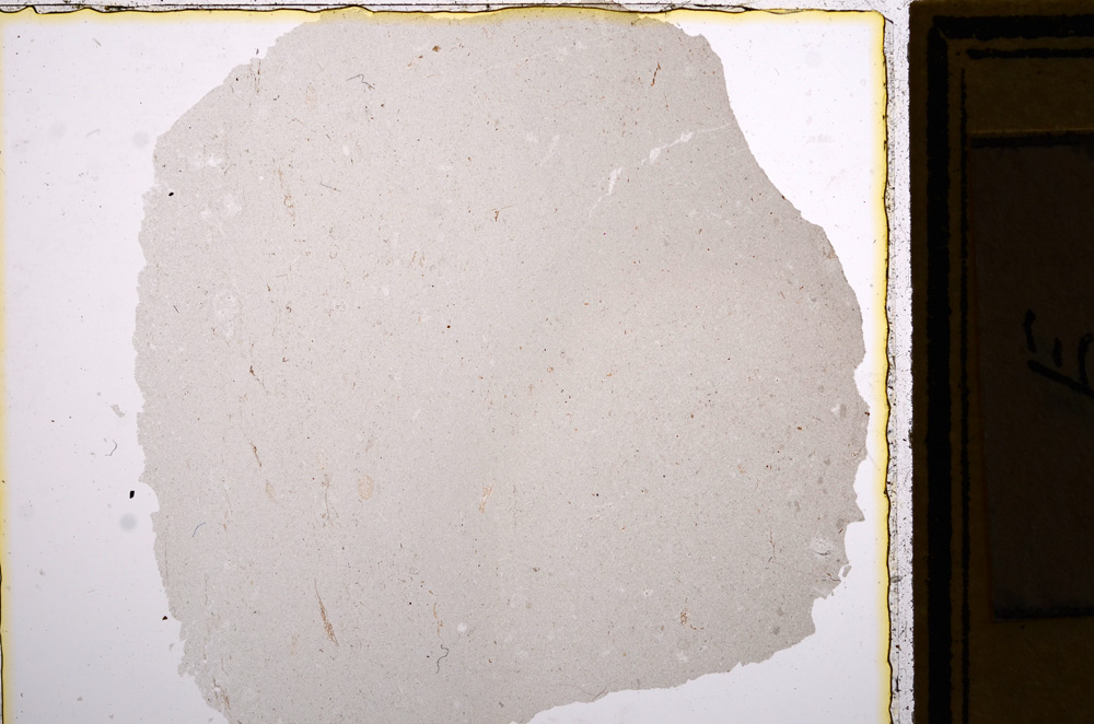 Plane Polarized, E16125