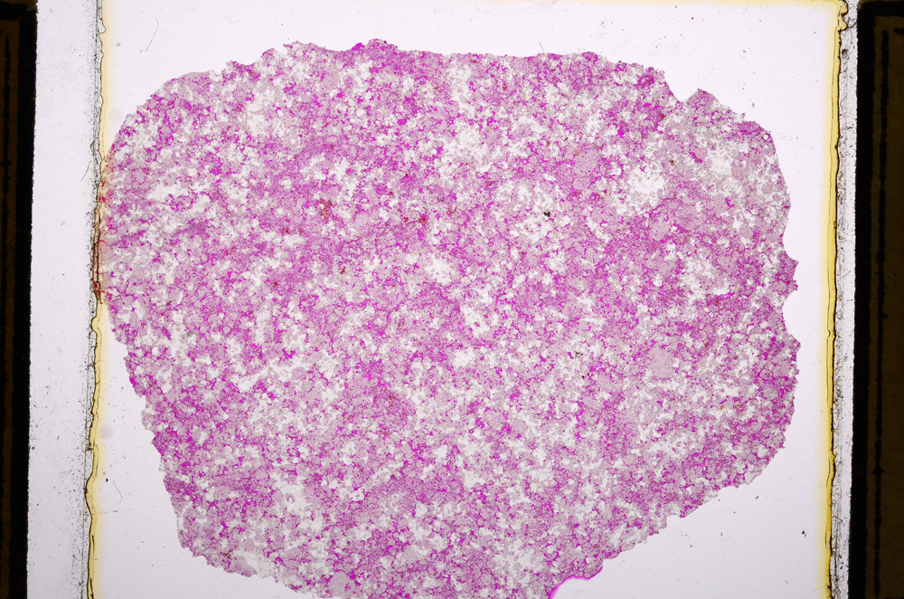 Plane Polarized, E16126