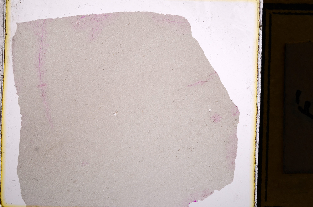 Plane Polarized, E16134