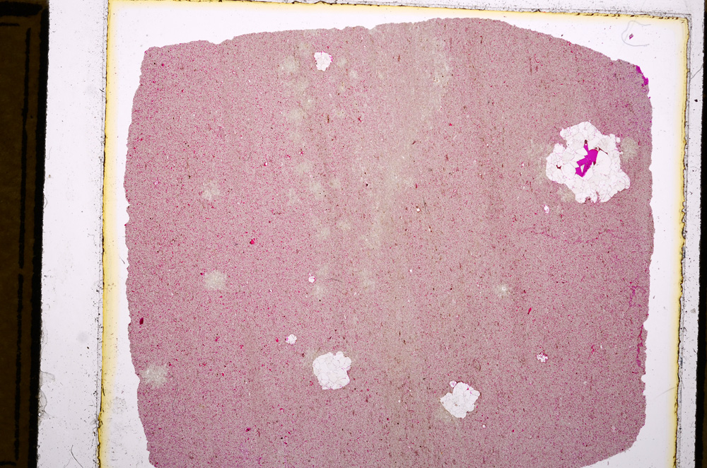 Plane Polarized, E16136