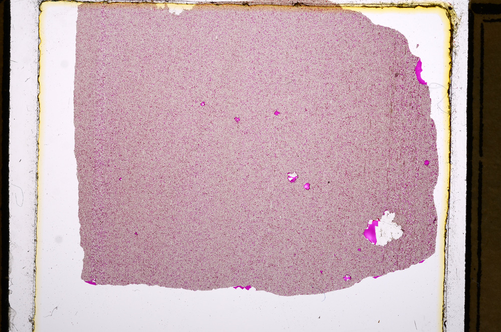 Plane Polarized, E16138