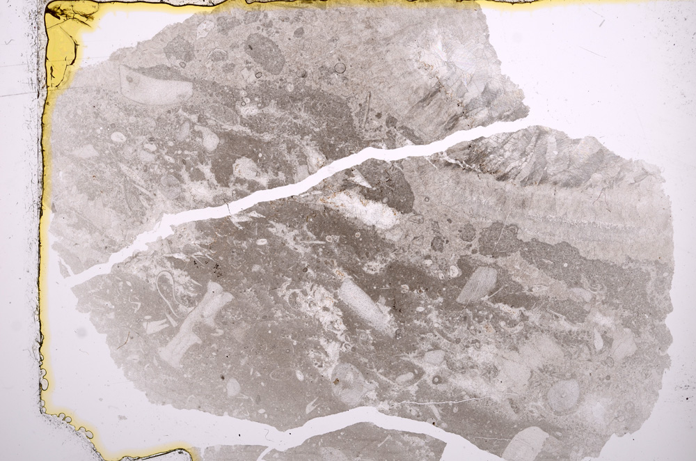 Plane Polarized, E16162