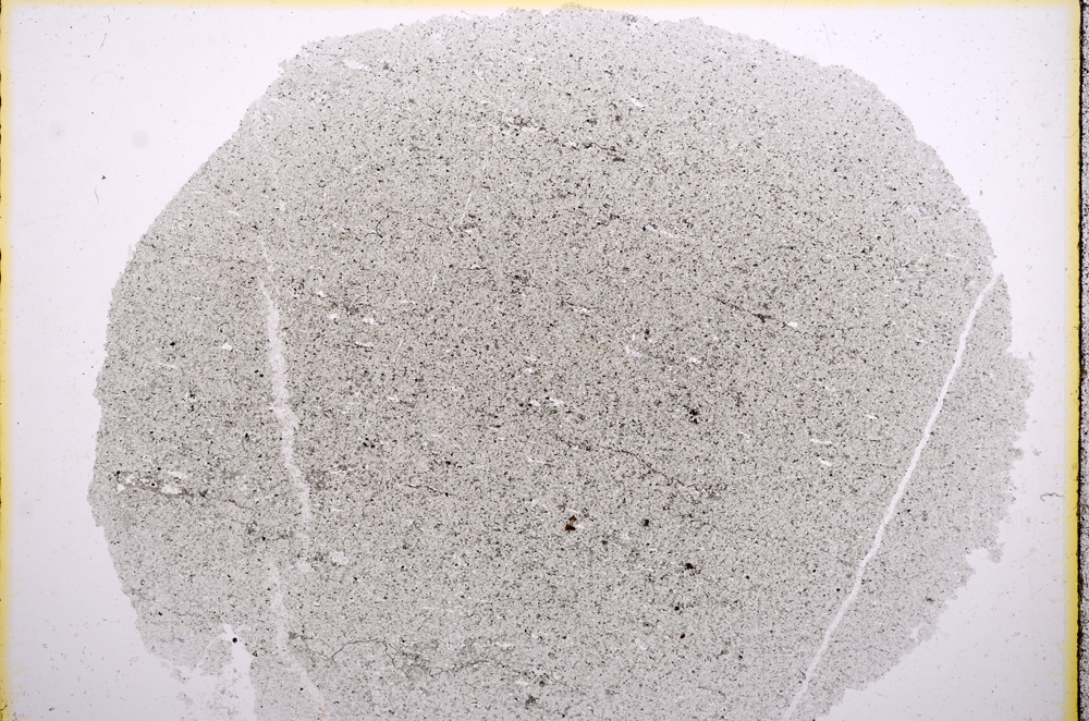 Plane Polarized, E16168