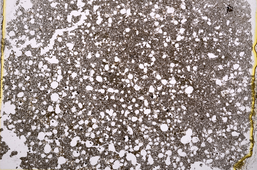 Plane Polarized, E16241