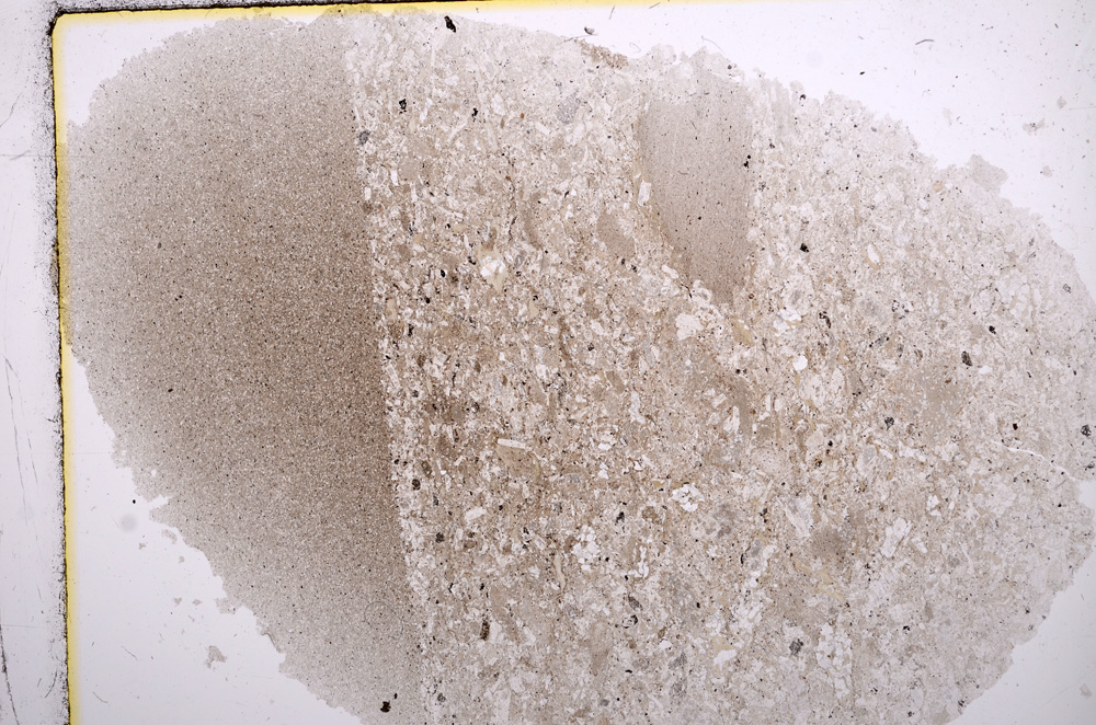 Plane Polarized, E16250