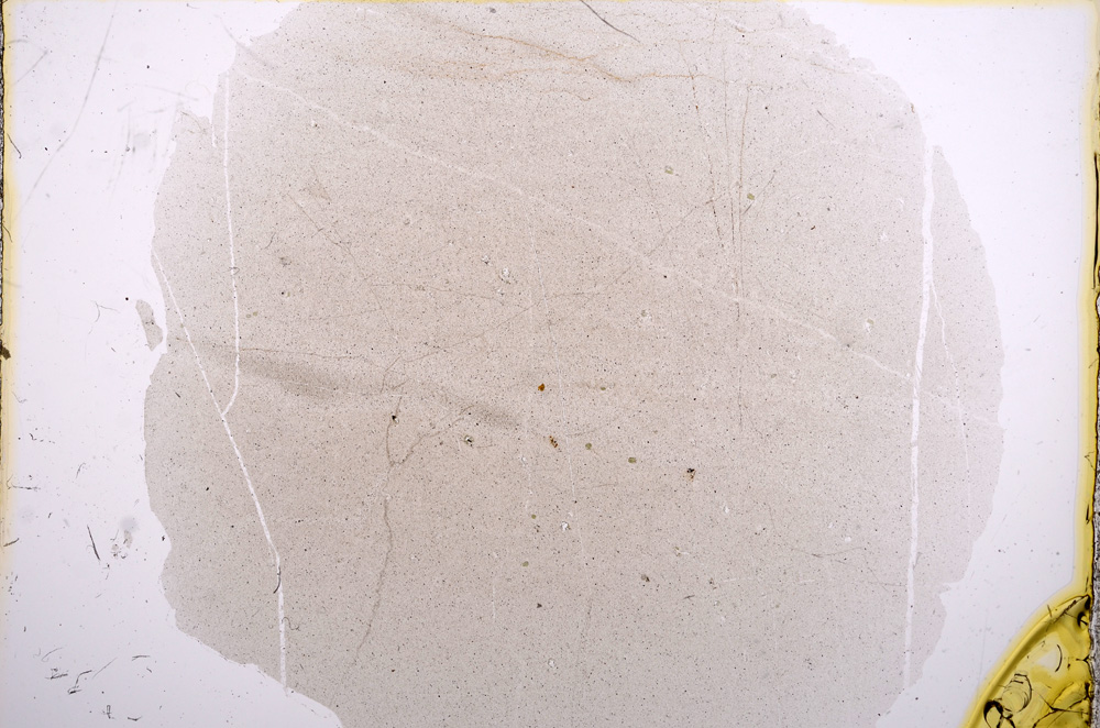 Plane Polarized, E16290