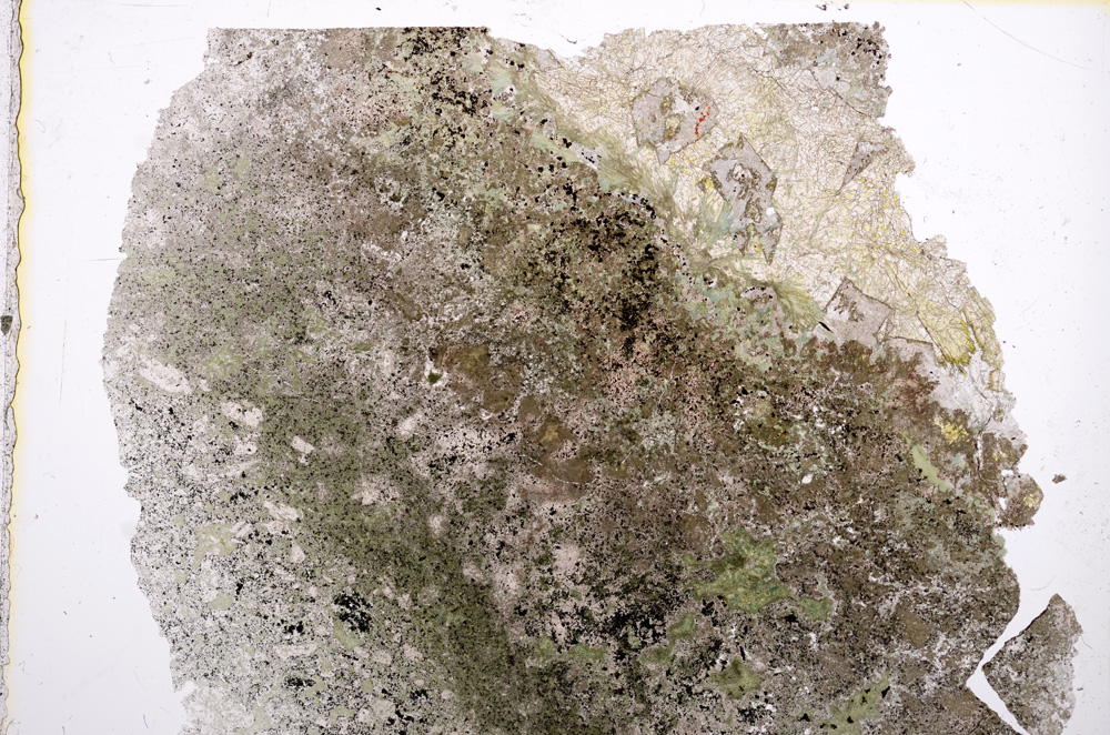 Plane Polarized, E16294