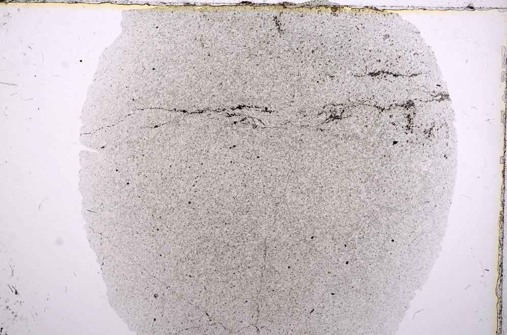 Plane Polarized, E16295