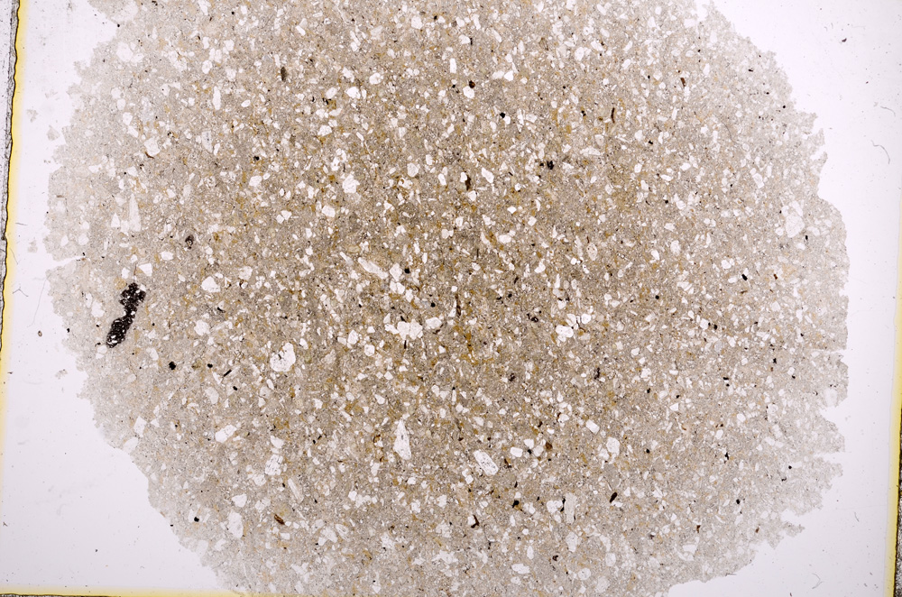 Plane Polarized, E16303