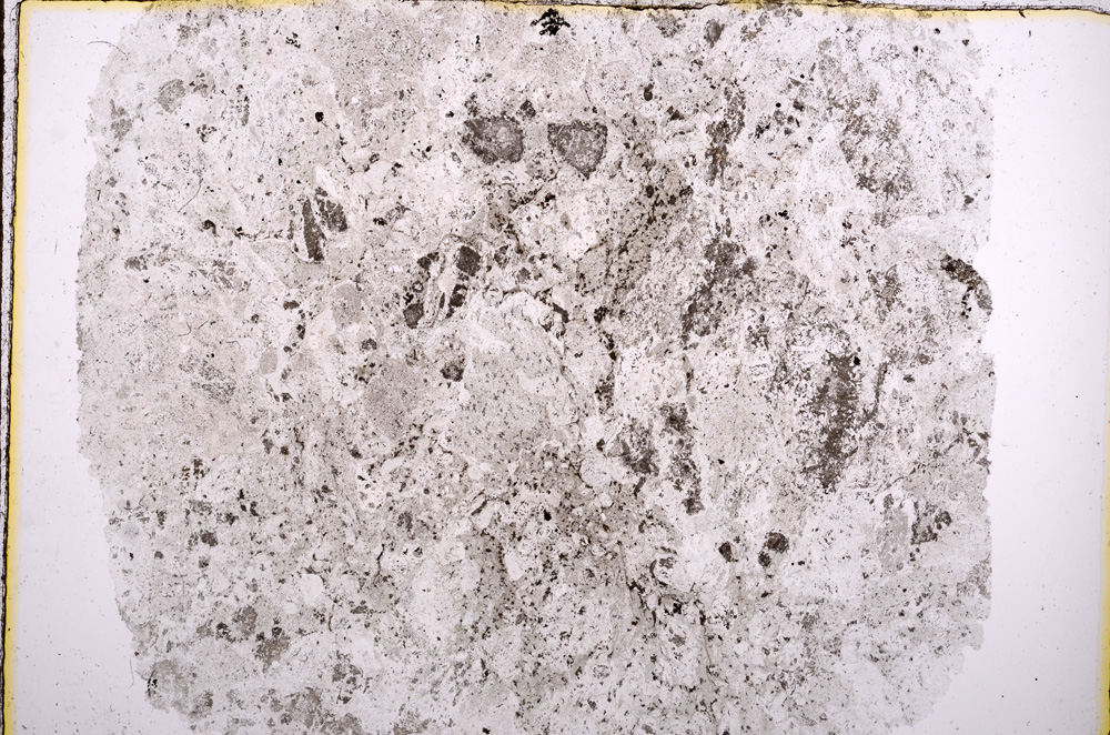 Plane Polarized, E16304