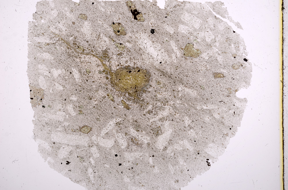 Plane Polarized, E16305