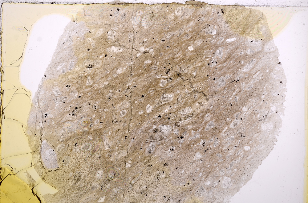 Plane Polarized, E16306