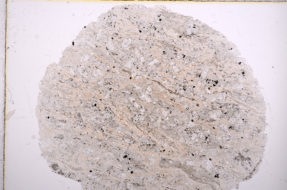 Plane Polarized, E16307