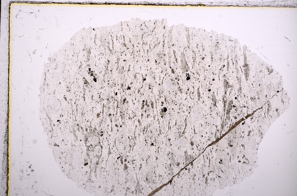 Plane Polarized, E16308