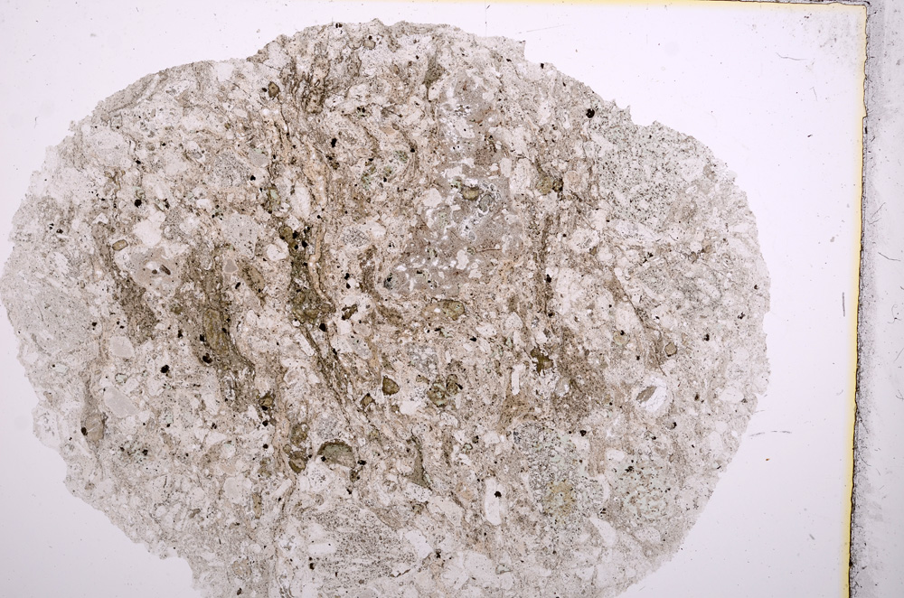 Plane Polarized, E16314