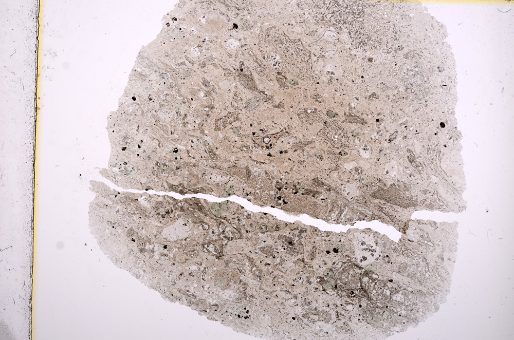 Plane Polarized, E16316