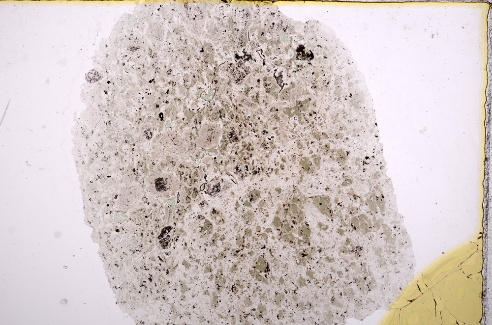 Plane Polarized, E16321