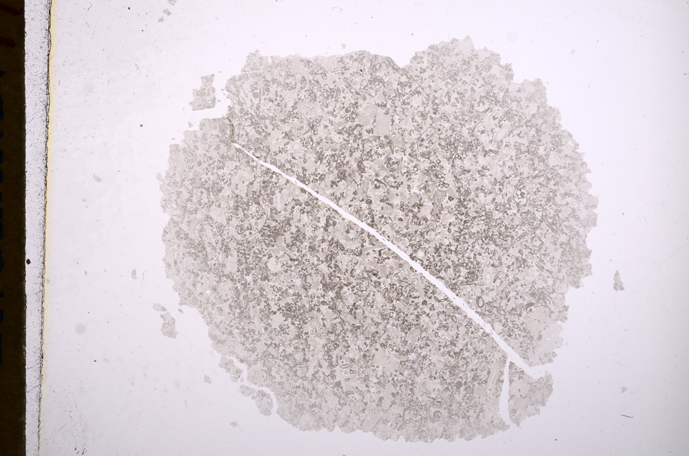 Plane Polarized, E16329