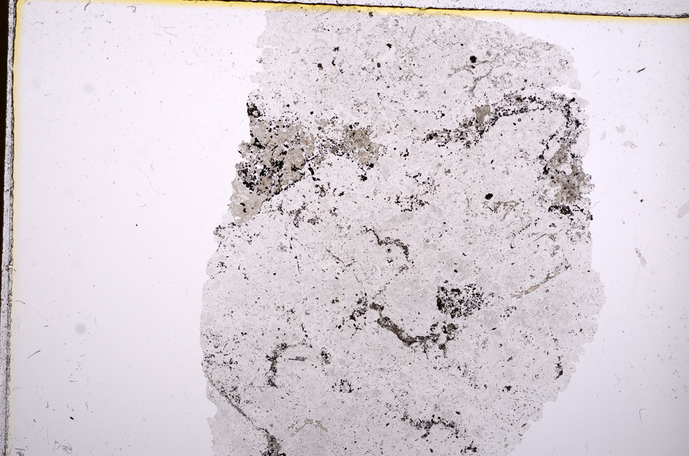 Plane Polarized, E16349