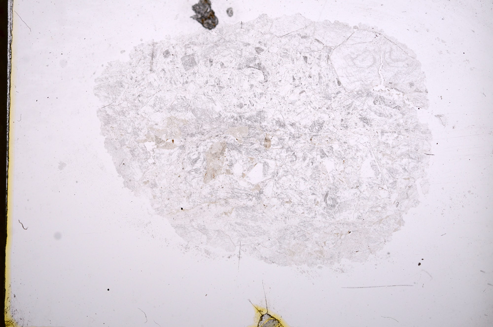 Plane Polarized, E16362