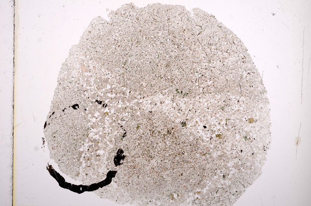 Plane Polarized, E16370