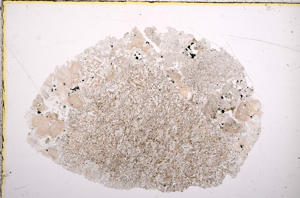 Plane Polarized, E16371