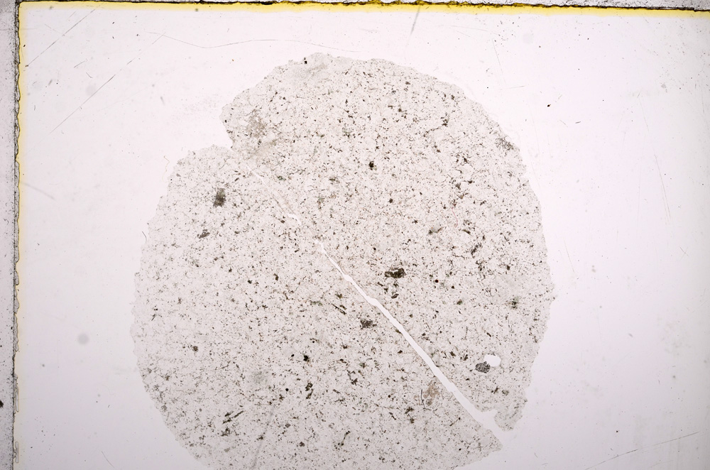 Plane Polarized, E16372