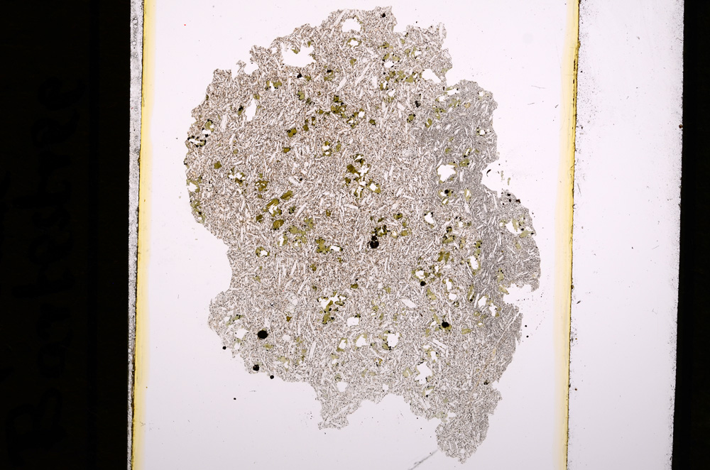 Plane Polarized, E16389