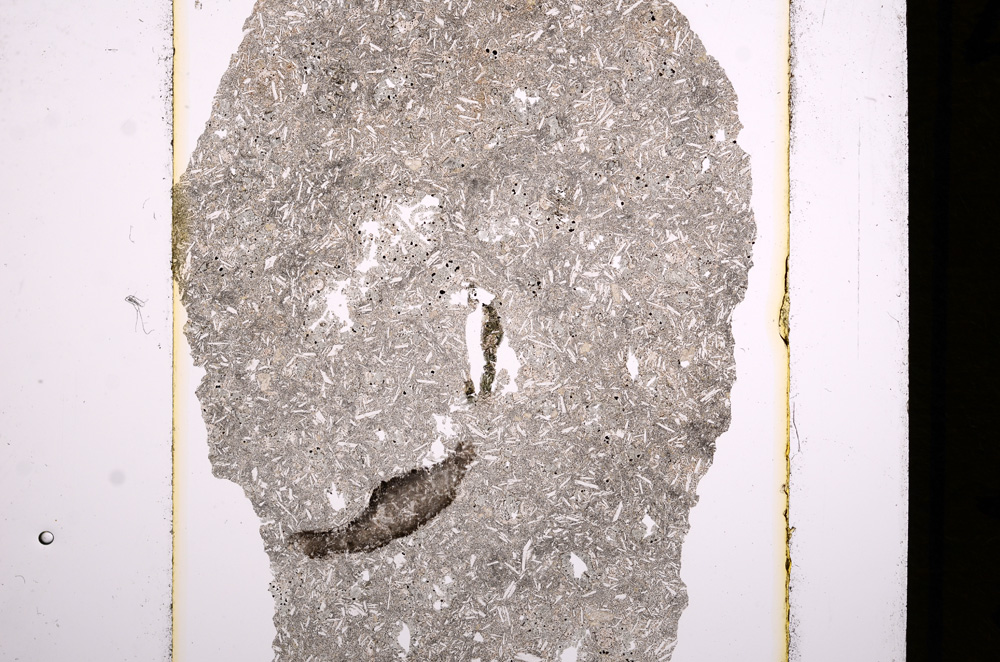 Plane Polarized, E16392