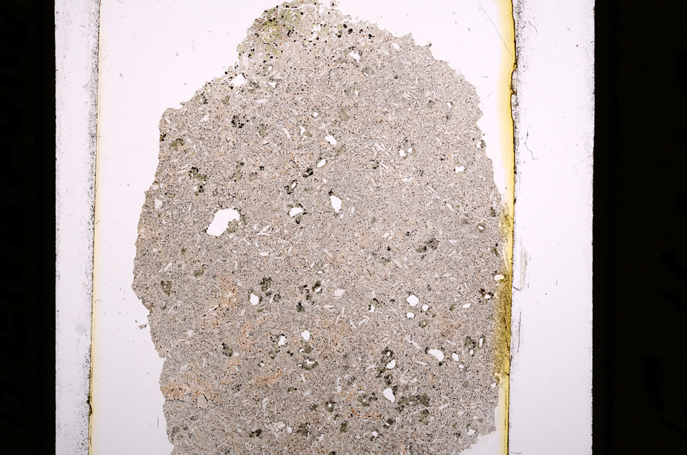 Plane Polarized, E16395